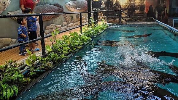 【2025芭提雅景點】《芭提雅景點TOP15》盤點泰國芭提雅